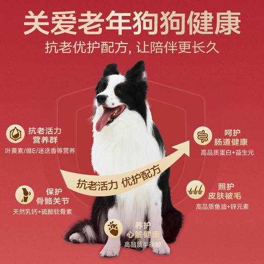 麦富迪双拼狗粮通用老年犬专用粮2kg 商品图3