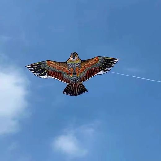 风筝带线轮1套 商品图6