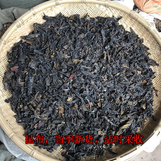 昆布 商品图3