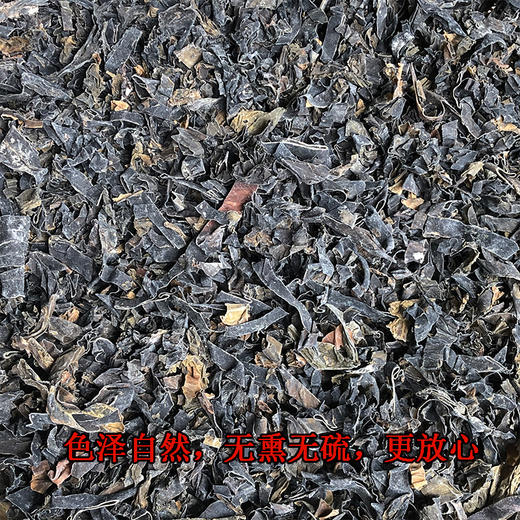 昆布 商品图4