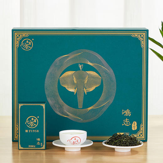 【2026新茶】象窝茶鸿志墨翠礼盒装绿茶高山云雾新兴特产 鸿志墨翠绿茶 5g * 24袋 120g 商品图8