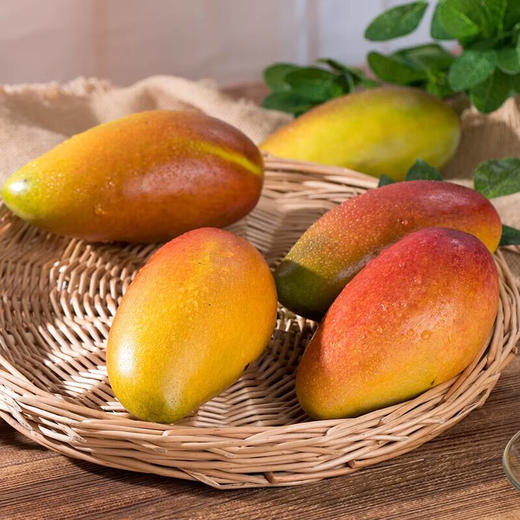 海南贵妃芒特大果天地盖礼盒装5-8斤 商品图1