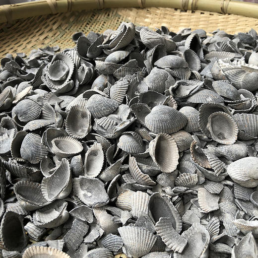 煅瓦楞子 商品图4