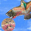 风筝带线轮1套 商品缩略图5