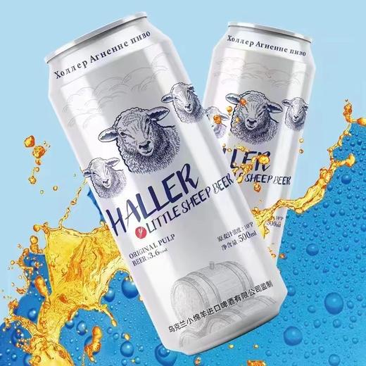 小绵羊啤酒一箱（拼团） 商品图1