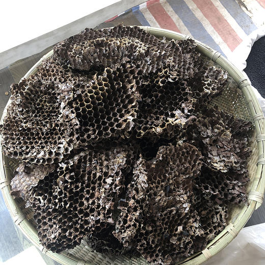 蜂房 商品图0