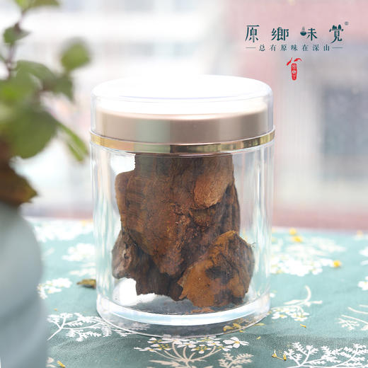 西藏野生桑树桑黄（成都仓库-顺丰快递） ｜ 80g/瓶，来自西藏林芝，生产者：当地藏民【原乡自采】 商品图4