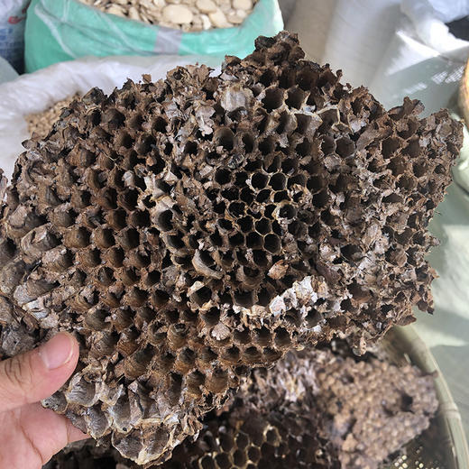 蜂房 商品图4