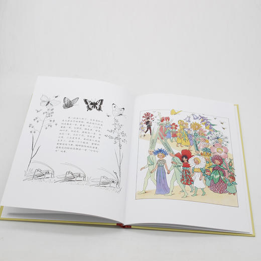 【童立方】小孩子大自然系列：仲夏节花会 3-6岁精装绘本 商品图1