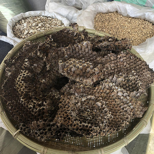 蜂房 商品图1