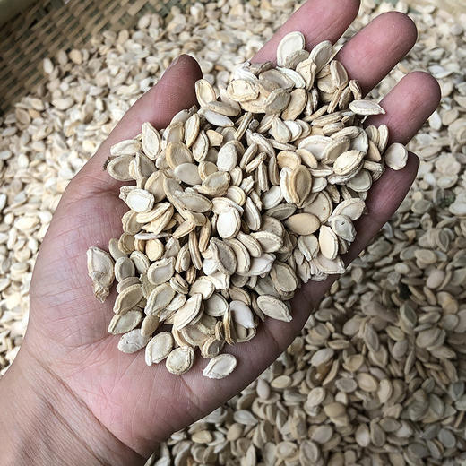 冬瓜子  冬瓜籽  冬瓜仁 商品图3