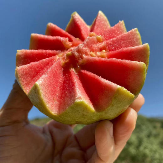 福建奶油冰淇淋芭乐/红玫瑰芭乐【产地连续下雨，延迟发货】 商品图2