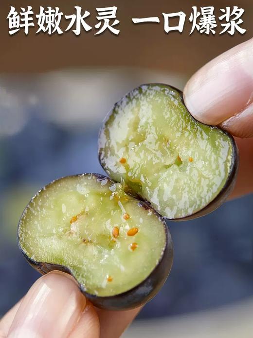 怡颗莓蓝莓 件装/125g*12盒 商品图3