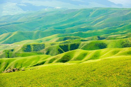 黄河文化影像-—内蒙陕西陕西河南之旅10天：包头-—佳县-—宜川—蒲城 —永济—三门峡—洛阳—巩义—开封—郑州 商品图4