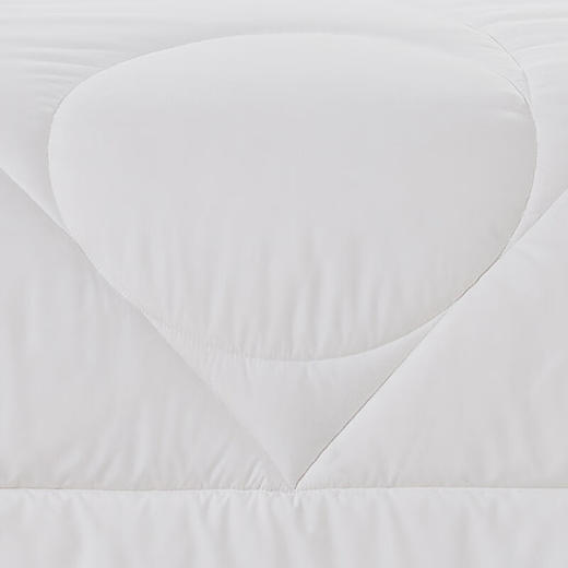 【分仓直发包邮】馨亭豪华纤维厚被MXW-015 商品图2