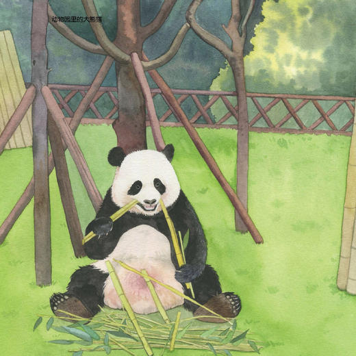 《小亮老师的博物课》（全6册） 商品图7