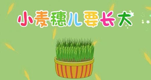 2018年5月 小麦穗儿要长大 商品图0