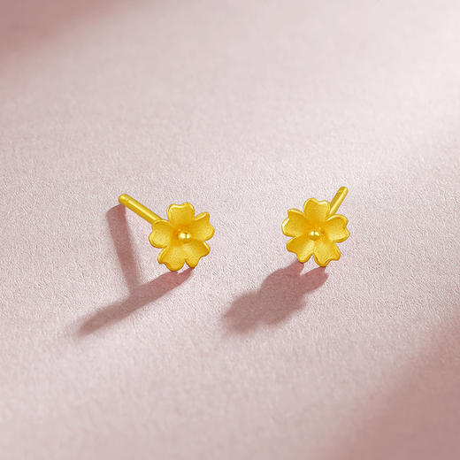 周六福黄金耳饰女足金计价朱槿花小金花耳钉送礼官方正品 商品图2