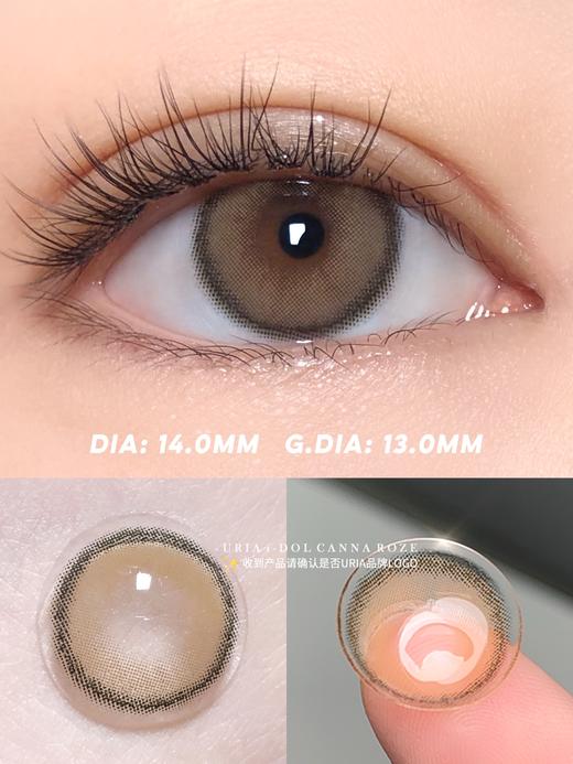 正品IDOL系列蜂蜜棕美瞳年抛/半年抛混发 直径14.0着色13.0韩国产 商品图4
