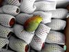 【礼盒装】贵妃芒 · 6.5斤装 商品缩略图4