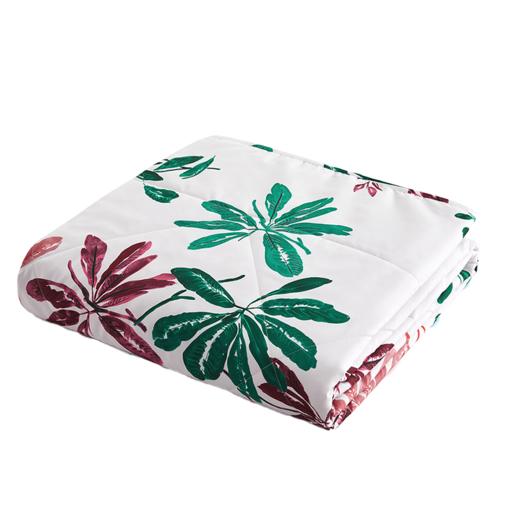 【分仓直发包邮】馨亭丁斯丝柔被 MXW-016S 商品图2