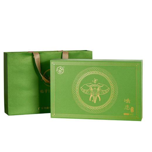 象窝茶鸿志春绿礼盒装绿茶高山云雾新兴特产 绿茶礼盒装 5g * 36袋 180g 商品图0