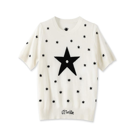 薄款短袖T恤上衣，休闲遮肉女轻奢绣花羊毛针织衫WLZD-2302210 商品图4