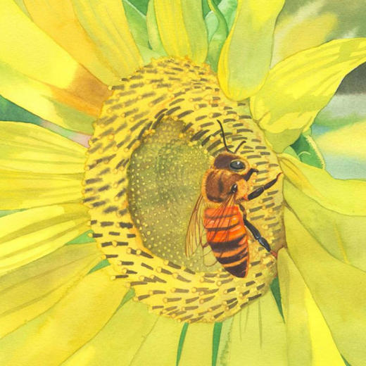 《小亮老师的博物课》（全6册） 商品图13