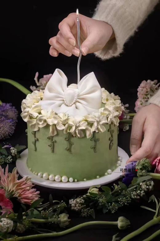 春意盎然 商品图0