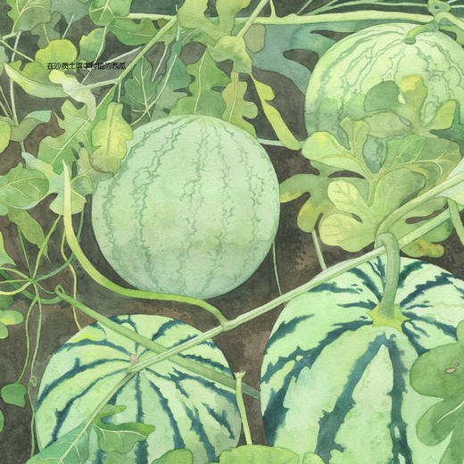 《小亮老师的博物课》（全6册） 商品图14