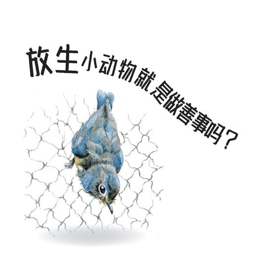 《小亮老师的博物课》（全6册） 商品图6