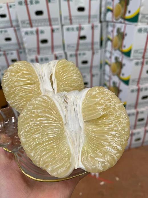 进口严选泰国青柚 商品图7