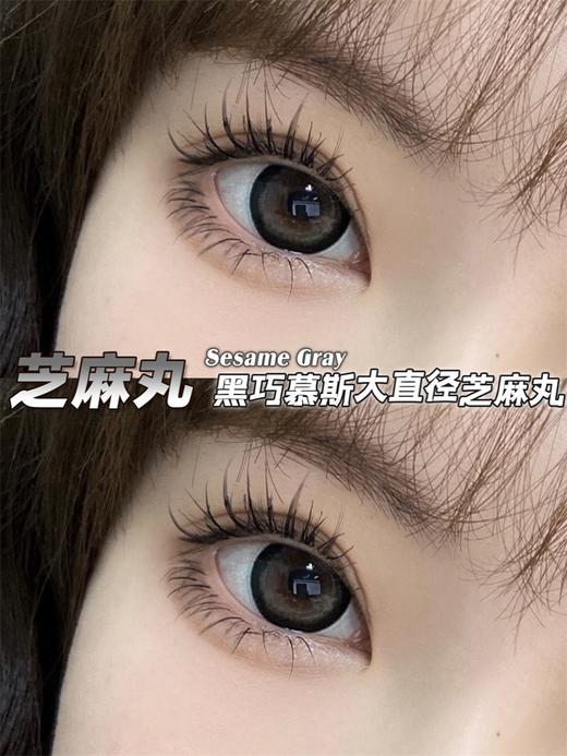 正品半年抛| haniicon系列芝麻丸美瞳 |直径14.5着色13.7 |新国货 商品图2