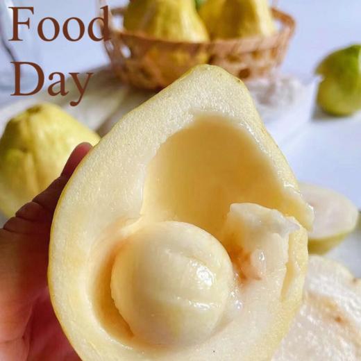 福建奶油冰淇淋芭乐/红玫瑰芭乐【产地连续下雨，延迟发货】 商品图7