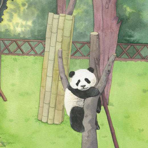 《小亮老师的博物课》（全6册）注音版 商品图10