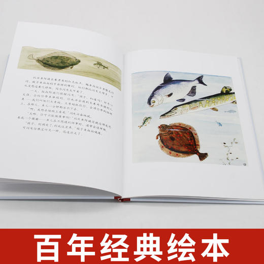 【童立方】小孩子大自然系列：好奇的小鱼3-4-5-6岁精装儿童绘本 商品图3