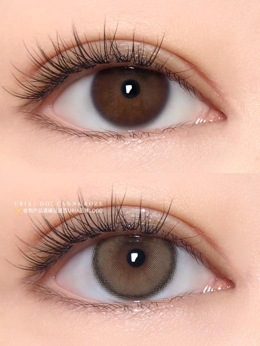 正品IDOL系列蜂蜜棕美瞳年抛/半年抛混发 直径14.0着色13.0韩国产 商品图3