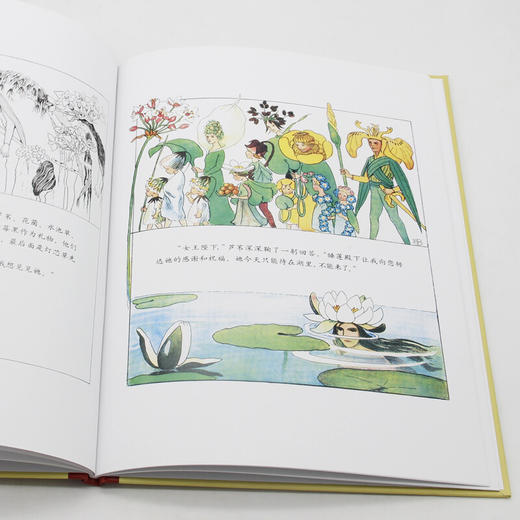 【童立方】小孩子大自然系列：仲夏节花会 3-6岁精装绘本 商品图2