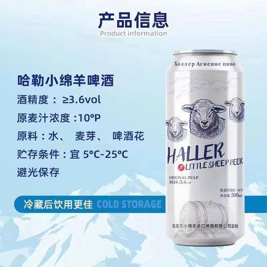 小绵羊啤酒一箱（拼团） 商品图2