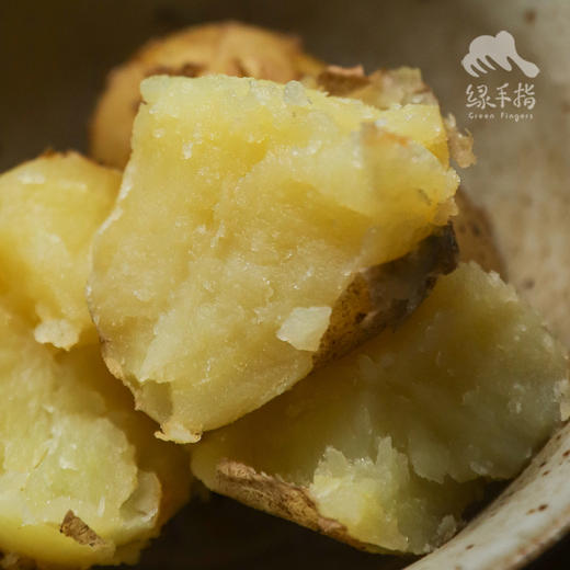 生态土豆 （广东）| 合作生产 * Eco-potato | Coproduction 商品图2