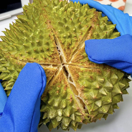 帝一榴马来西亚猫山王 商品图4