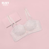美季美优X甜美蕾丝半杯文胸A/B杯W352B03 商品缩略图0