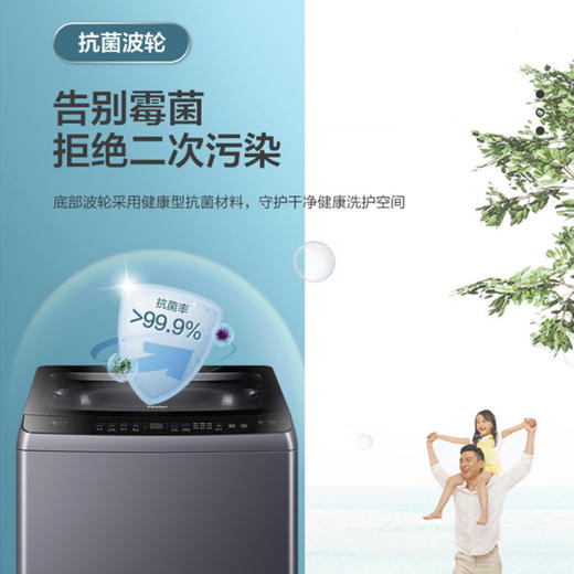 海尔（Haier）洗衣机 MB100-F326 商品图9