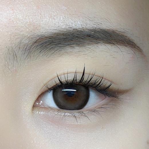 ANNAKELLY正品半年抛 | 烤栗子美瞳 | 直径14.5着色13.8 | 新国货 商品图4