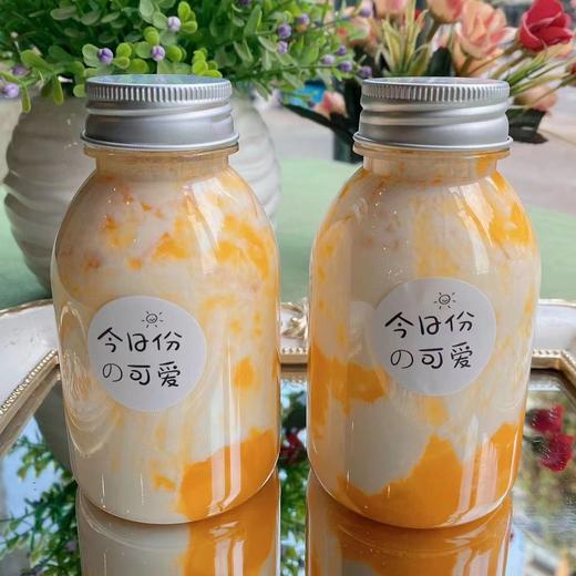 芒果牛乳茶 商品图1