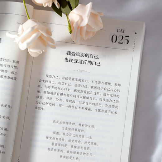 每一天爱自己  露易丝·海 商品图3