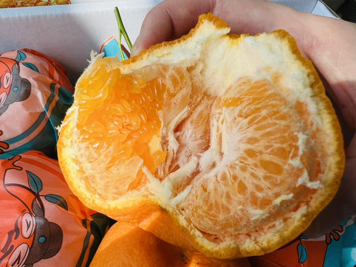 白富美春见耙耙柑🍊早期带酸，味道浓郁 商品图1