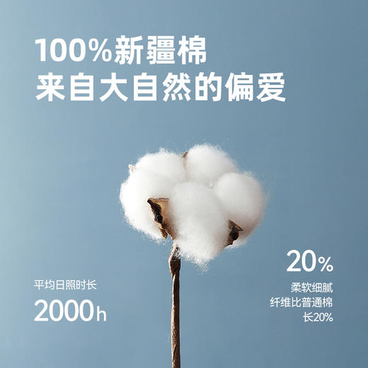 伯希和POLO衫男短袖23春夏新款户外透气运动休闲纯棉T恤休闲半袖111321501 商品图3