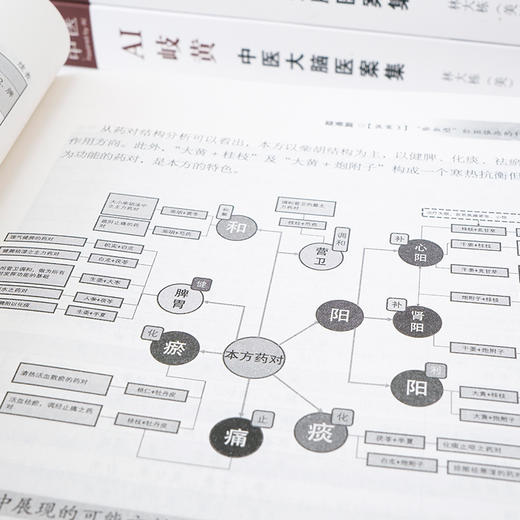 AI岐黄——中医大脑医案集 商品图2