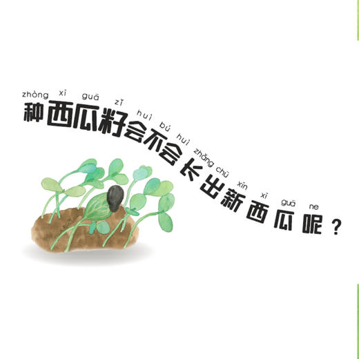 《小亮老师的博物课》（全6册）注音版 商品图4